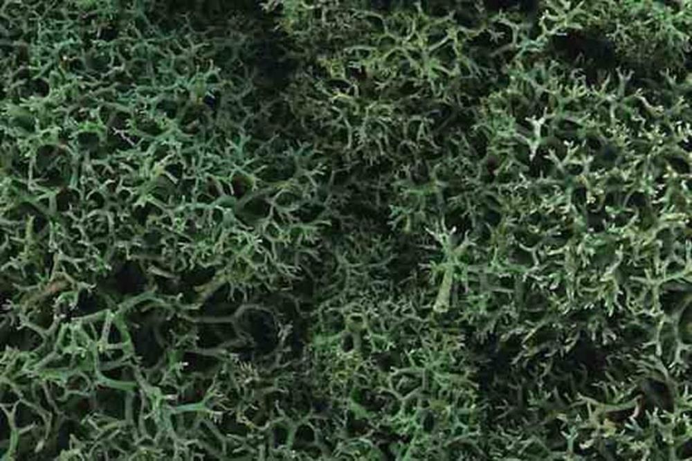Woodland Scenics L162 LICHEN LIGHT GREEN (7835042414829)