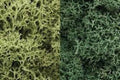 Woodland Scenics LICHEN LIGHT GREEN MIX