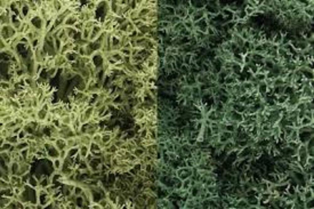 Woodland Scenics LICHEN LIGHT GREEN MIX