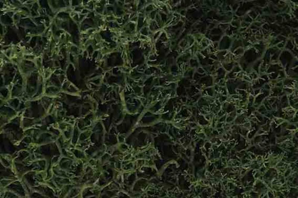 Woodland Scenics L163 LICHEN MEDIUM GREEN (7540619116781)