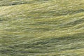 Woodland Scenics FG173 LIGHT GREEN FIELD GRASS (7540619542765)