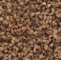 Woodland Scenics B1379 MEDIUM BALLAST BROWN 32OZ (7540620755181)