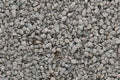Woodland Scenics B1382 MEDIUM GRAY BALLAST 32 OZ SHA (7540621017325)