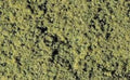 Woodland Scenics F52 MEDIUM GREEN