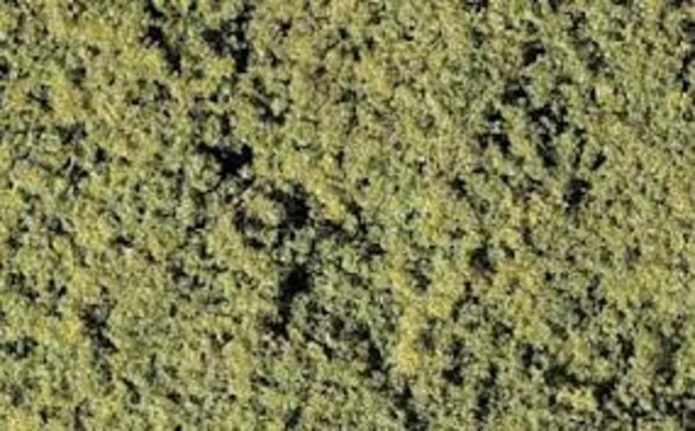 Woodland Scenics F52 MEDIUM GREEN