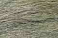 Woodland Scenics FG174 MEDIUM GREEN  FIELD GRASS (7540621246701)