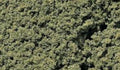 Woodland Scenics MEDIUM GREEN FOILAGE CLUSTERS