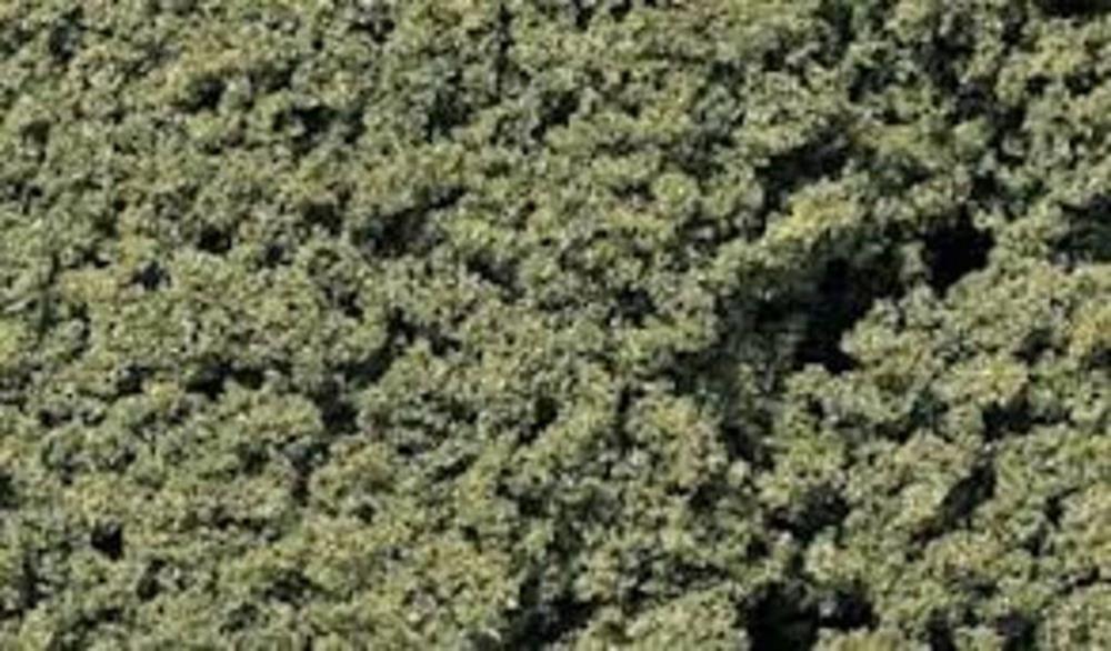 Woodland Scenics MEDIUM GREEN FOILAGE CLUSTERS