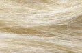 Woodland Scenics FG171 Field Grass - Natural Straw (8255463555309)
