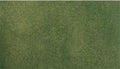 Woodland Scenics RG5122 READY GRASS 50X100 GREEN ROLL (7540626096365)