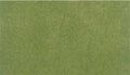 Woodland Scenics RG5121 READY GRASS 50X100 SPRING ROLL (7540626194669)