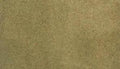 Woodland Scenics RG5124 READY GRASS 50X100 SUMMER ROLL (7540626358509)