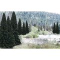 Woodland Scenics TR1585 Ready Made Trees Value Pack - 'Evergreen Blend' 18pk (2-4in/5.08-10.1cm) (7540627964141)