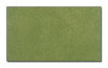 Woodland Scenics READYGRASS SHEET SPRING