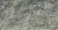 Woodland Scenics FL634 STATIC GRASS FLOCK LIGHT GREE (7540636713197)