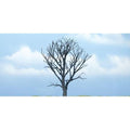 zWoodland Scenics TR1614 TREES DEAD MAPLE (1) (7540643823853)
