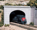 Woodland Scenics C1256 HO Concrete Double Portal (7540646150381)