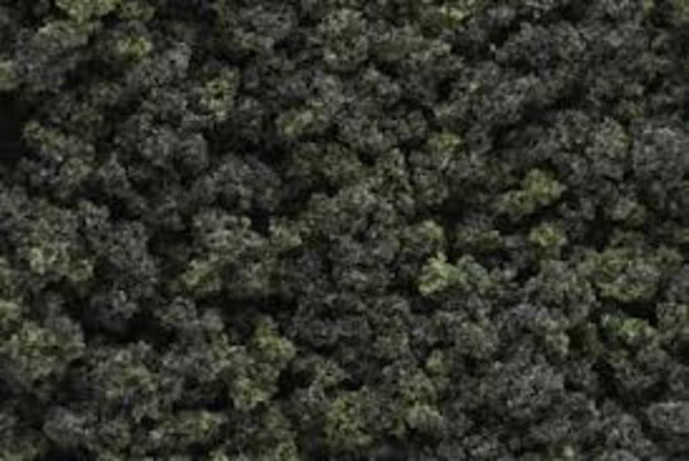 Woodland Scenics FC139 UNDERBRUSH CLU/FOLIAGE FOREST (7540648968429)