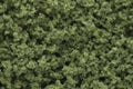 Woodland Scenics UNDERBRUSH CLU/FOLIAGE LI/GRN