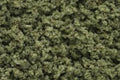 Woodland Scenics FC134 UNDERBRUSH CLU/FOLIAGE OLIVE (7540649165037)