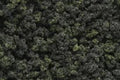 Woodland Scenics FC1639 UNDERBRUSH CLUMP FOILAGE F/BL (7540649558253)