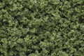 Woodland Scenics FC1635 UNDERBRUSH CLUMP FOLIAGE L/GR (7540649951469)