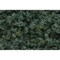 Woodland Scenics FC1636 UNDERBRUSH CLUMP FOLIAGE M/GR (7540650049773)