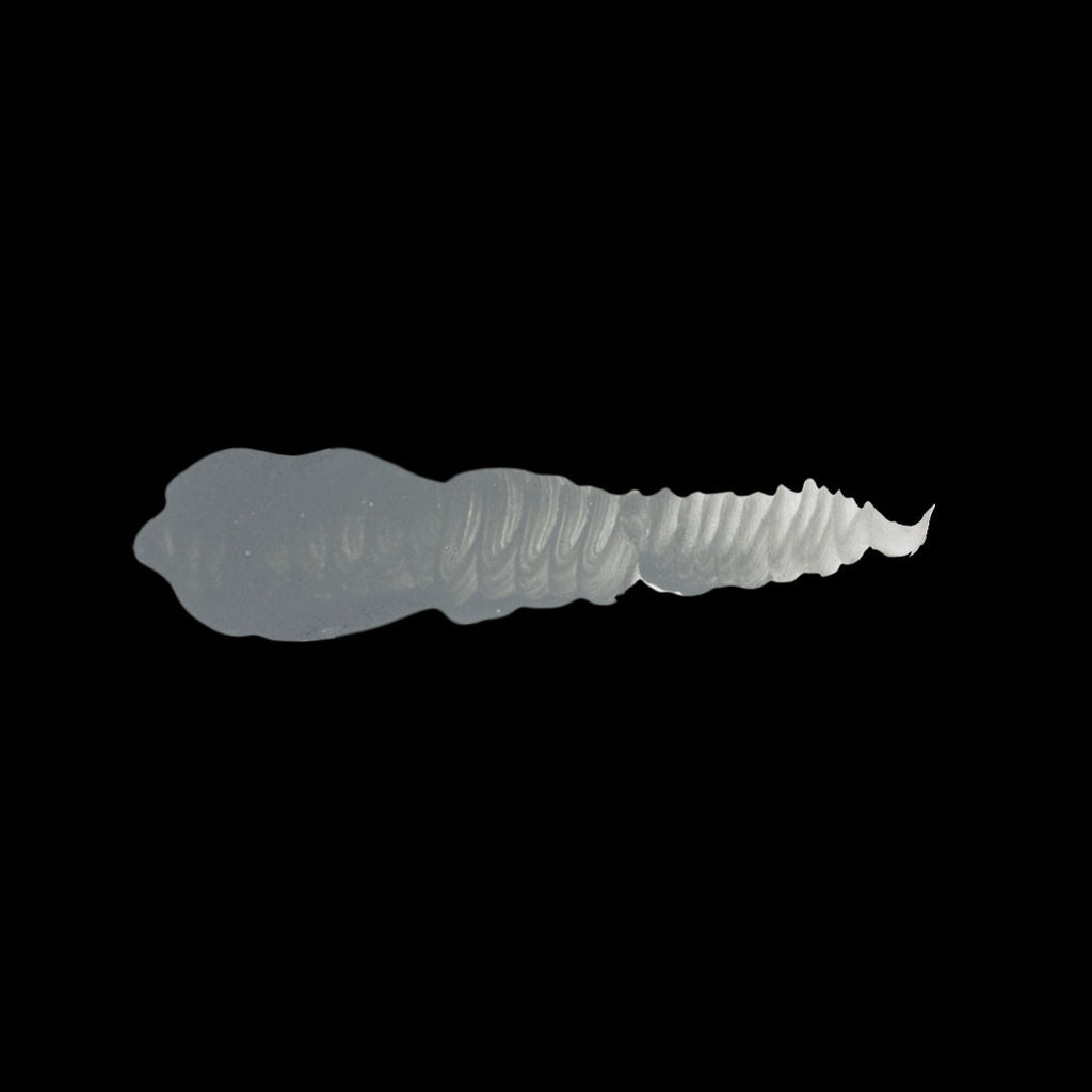 Scale 75 Warfront Winter Grey 17ml (2)