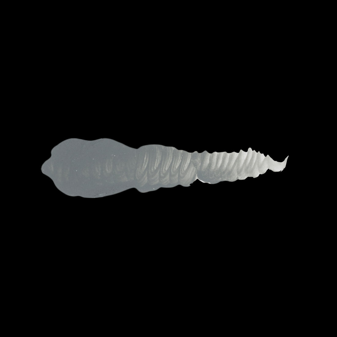 Scale 75 Warfront Winter Grey 17ml (2)