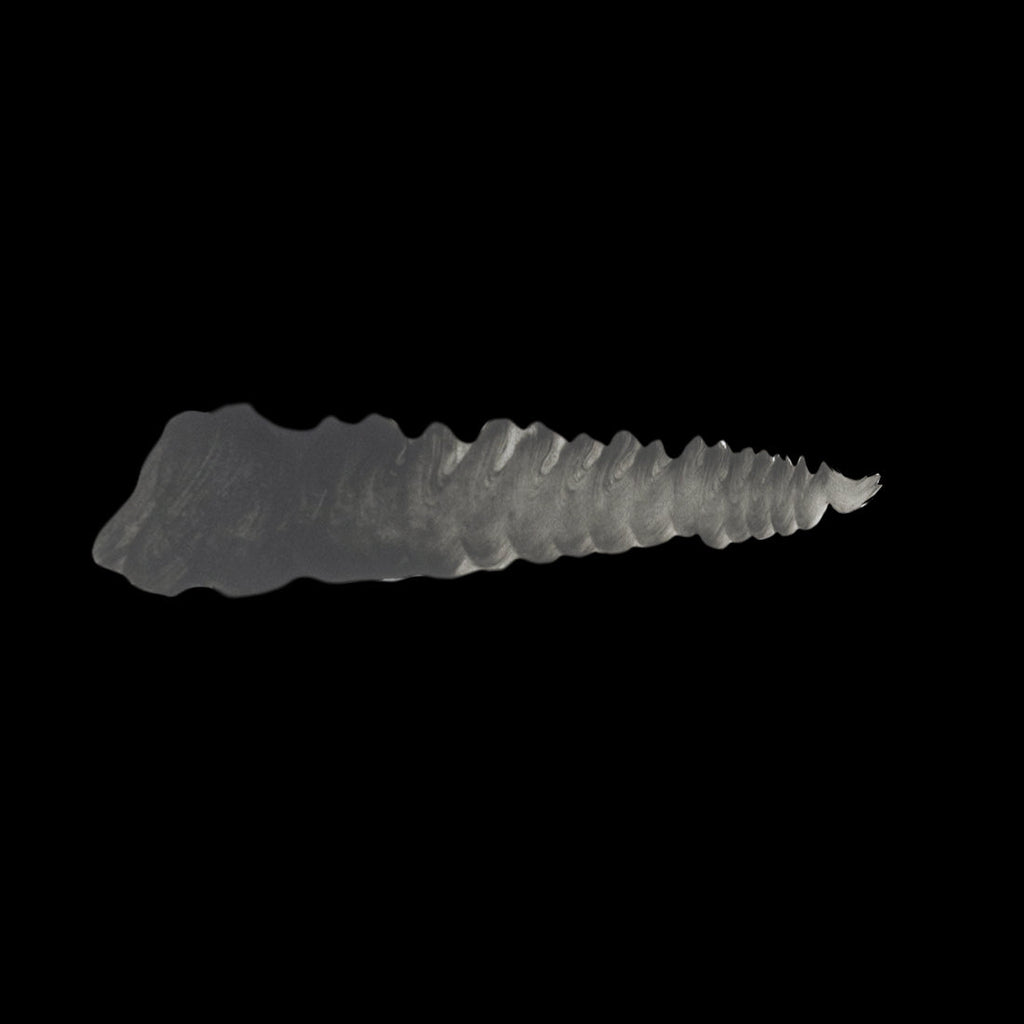 Scale 75 Warfront Winter Shadow 17ml (2)