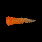 Scale 75 Warfront Orange 17ml (2)