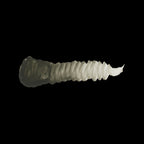 Scale 75 Warfront Us Green 17ml (2)