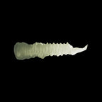 Scale 75 Warfront Olive Brown 17ml (2)