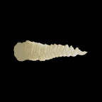 Scale 75 Warfront Dunkelgelb 44 17ml (2)