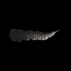 Scale 75 Warfront Camo Top Shadows 17ml (2)