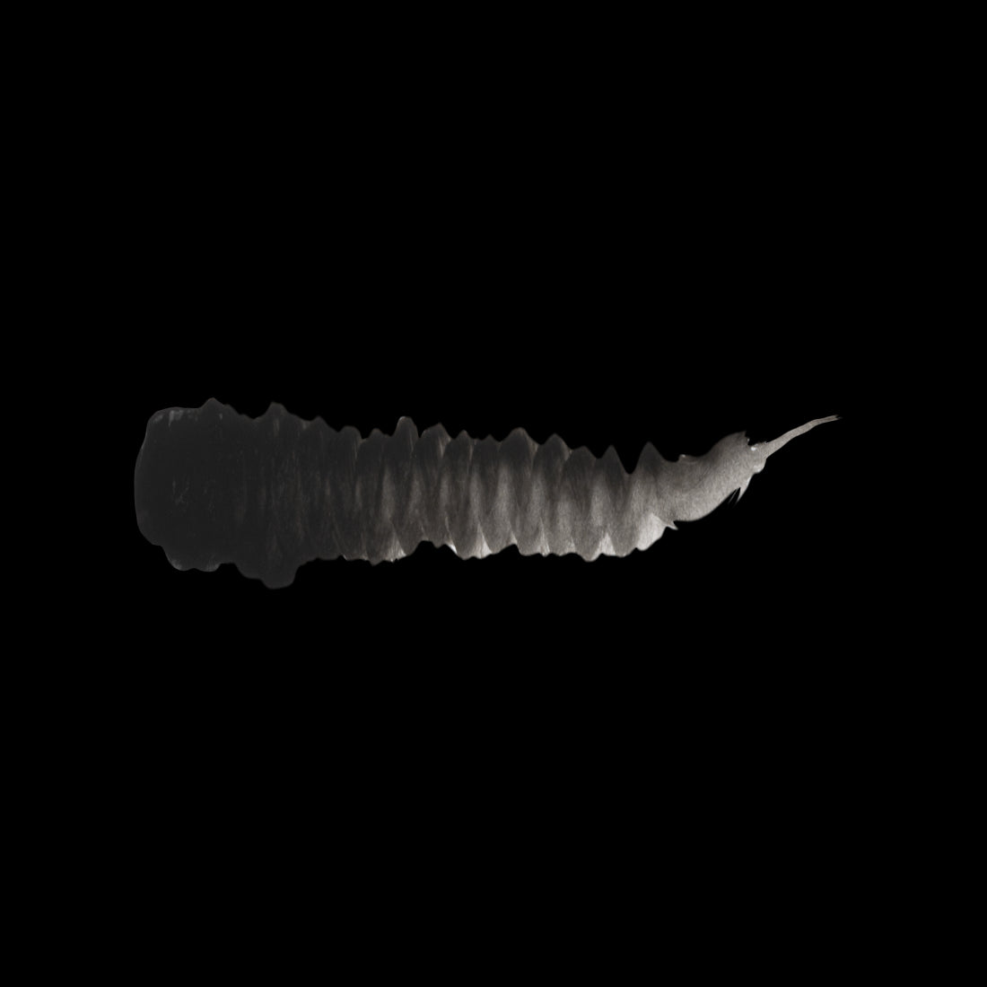 Scale 75 Warfront Camo Top Shadows 17ml (2)