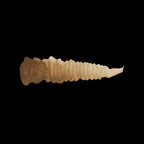 Scale 75 Warfront Camo Medium Brown 17ml (2)
