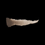 Scale 75 Warfront Dunkelbraun 17ml (2)