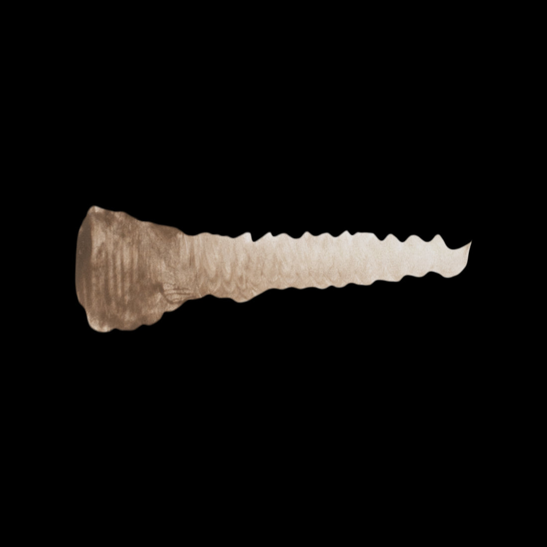 Scale 75 Warfront Rotbraun 17ml (2)