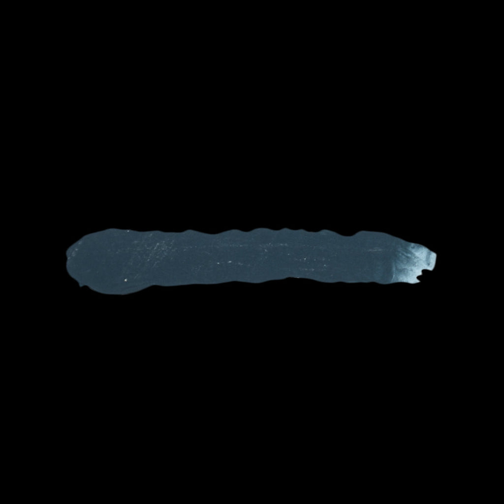Scale 75 Scalecolor Caspian Blue 17ml (2)