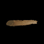 Scale 75 Scalecolor Gobi Brown 17ml (2)