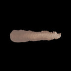 Scale 75 Scalecolor Sandalwood 17ml (2)