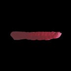 Scale 75 Scalecolor Deep Red 17ml (2)