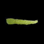 Scale 75 Scalecolor Sherwood Green 17ml (2)