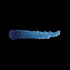 Scale 75 Scalecolor Navy Blue 17ml (2)