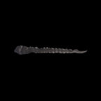 Scale 75 Instant Colors Golem Grey 17ml (2)