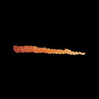 Scale 75 Instant Colors Frenzy Orange 17ml (2)