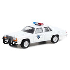 GreenLight 1/64 1983 LTD Crown Victoria - Arizona Highway (2)
