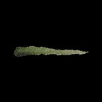 Scale 75 Instant Colors Zucchini Skin17ml (2)