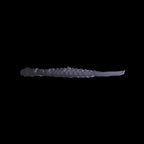 Scale 75 Instant Colors Shadow Black 17ml (2)